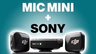 How to set up DJI Mic Mini on a Sony Camera - Settings for Awesome Audio