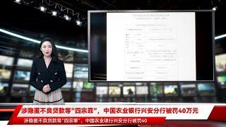 涉隐匿不良贷款等“四宗罪”，中国农业银行兴安分行被罚40万元