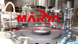 Marya Vial Filling Machine for Zimbabwe Government | Pharmaceutical Vial Filling Production Line