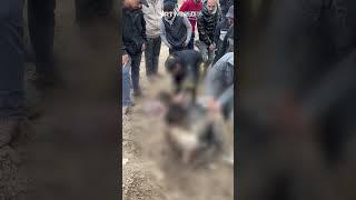 Mass grave discovered in Netzarim Corridor following Israeli withdrawal