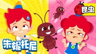 啊！我裤子里有只螞蟻！| 螞蟻跑到我屁股上了！| 昆虫博士 | Kids Song in Chinese | 兒歌童謠 | 卡通動畫 | 朱妮托尼儿歌  | JunyTony