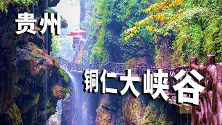 Guizhou Tongren Grand Canyon! The most charming canyon in China, Feiliu Waterfall is so beautiful!