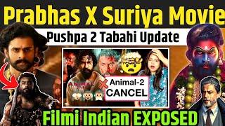 Filmy News - Prabhas X Suriya Movie | Filmi Indian Exposed | Pushpa 2 Update | King SRK Movie