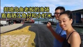 邦咯岛渔村 Pangkor 8--什么叫实力和守业精神？听渔老板第三代娓娓道来！长见识，前来参观渔场现捕现晒现选的纯天然江鱼仔和鲜虾米。