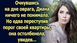 Очнувшись на дне оврага, Диана ничего не понимала. Но едва вернувшись домой…