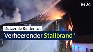 Stallbrand: Dutzende Mastrinder tot und hoher Sachschaden | Abendschau | BR24