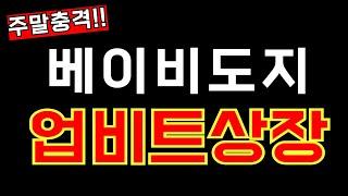 [베이비도지] 퍼피펀 출시, 소각 부스터에 기다리던 업비트 상장입니다!! 초특급호재폭탄