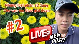 HUYNH THUY TINH VLOG đang phát trực tiếp!