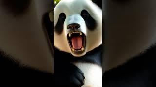 "Panda's Blissful Day: From Snacks to Snuggles" #pandamoments #panda #chubbypanda #animals