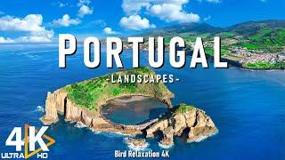 Portugal 4K  Discover Stunning Coastlines, Historic Cities, and Rich Culture  Relaxing Music