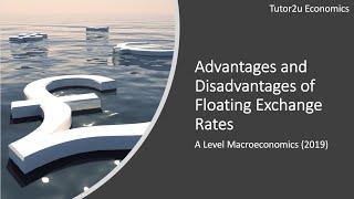 Advantages and Disadvantages of Floating Exchange Rates I A Level and IB Economics