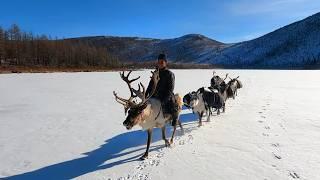 Tsaatan : les derniers nomades de Mongolie