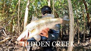 INSANE HIDDEN SALTWATER CREEK FISHING Townsville