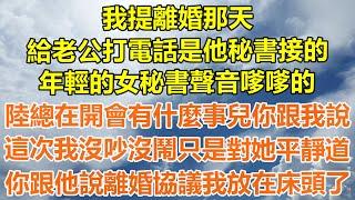 （完結爽文）我提離婚那天，給老公打電話是他秘書接的，年輕的女秘書聲音嗲嗲的，陸總在開會有什麼事兒你跟我說，這次我沒吵沒鬧只是對她平靜道，你跟他說離婚協議我放在床頭了！#情感#幸福#出軌#家產#白月光