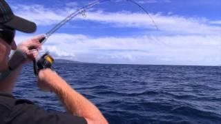 SHIMANO FISHING NEW ZEALAND - BOTTOMSHIP & LUCANUS