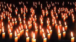 Candles Video Background Animation | 4K Screensaver Royalty Free Footage