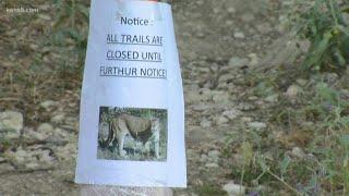 Mountain lion spotted in Castroville Regional Park, trails shut down