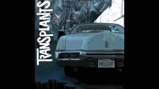 California Babylon - Transplants