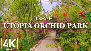 4K Virtual Walking Tour through Utopia Orchid Park, Bahan - Visiting Israel - Travel Journal