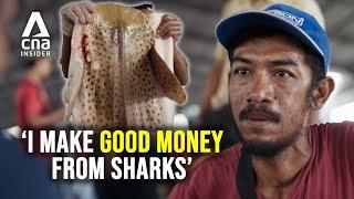 Inside The Lucrative Trade of Shark Fishing in Indonesia