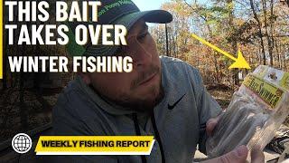 Breaking News: This One Bait Catches 100x More Bass in Winter (Weekly Fishing Report)