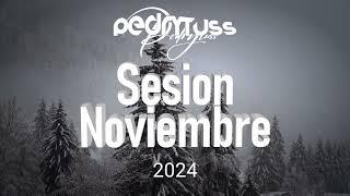 Sesión NOVIEMBRE 2024 (Pedro Fernández) (Reggaeton, Comercial, Trap, Flamenco, Dembow)