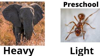 Heavy and light concept  for preschool kids / Heavy and light  comparison / Math concepts  for kids