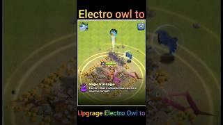 Electro owl to king #clashofclans #coc #king #electro #gaming # 2025