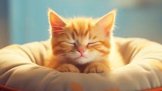 EXTREMELY Soothing Cat Therapy Music - Relax Your Cat! Cat Music