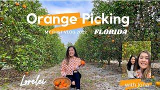 Orange Picking Vlog | Orange Farm | Florida