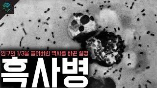 유럽 인구의 1/3을 쓸어버린 가장 많은 사람을 죽인 전염병 역사를 바꾼 질병 '흑사병'