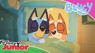 Secret Messages  | Bluey  | Disney Junior Arabia