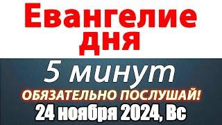 Евангелие дня с толкованием 24 ноября 2024 года Воскресенье Чтимые святые. Церковный календарь