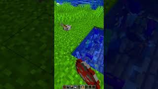 Minecraft Dancing Fish (Montagem Bandido) #minecraft #shorts