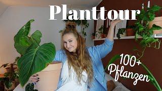 PLANTTOUR 🪴 | 100+ Pflanzen   *RARITÄTEN*