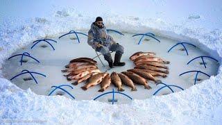 Amazing Fishing on the Frozen Lake / Big Fish