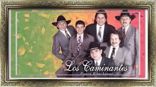 Los Caminantes  ️