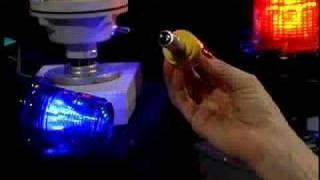 LED Beacon Warning Bulbs
