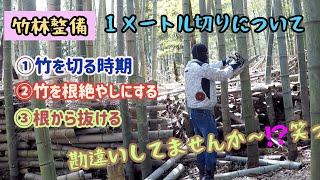 竹林整備　第一弾【竹1メートル切り】勘違いしてませんか？