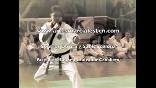 #HAPKIDO BARCELONA - SALVADOR CABALLERO