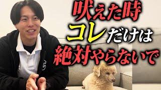 【要注意】コレだけは絶対やらないで…！吠え癖がつきやすい飼い主の特徴⑤選