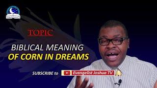 Biblical Meaning of CORN in Dreams - Eating Maize Symbolism