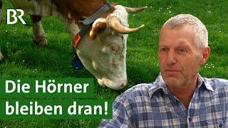 Besuch bei Bayerns erstem Demeter-Betrieb | Unser Land | BR