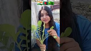 #shortvideo #viral #india tricolor penting @Sukhi.Sahani9900SB