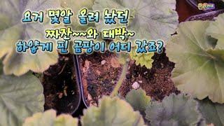 와~~대박~~곰팡이가 사라졌어요~