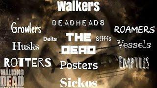 Every Zombie Name Ever - The Walking Dead Universe | TWD - Zombie Names |