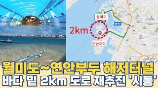 월미도~연안부두 해저터널 뚫린다면?...바다 밑 2km 도로 재추진 '시동'