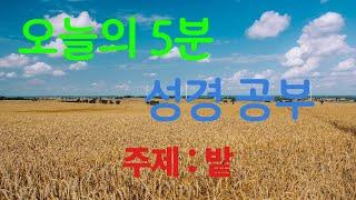 오늘의 5분 성경 공부 - 밭