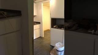 Brightening up the old Mobile Home! Daily Progress 6/16/25 #remodel #painting #mobilehomes