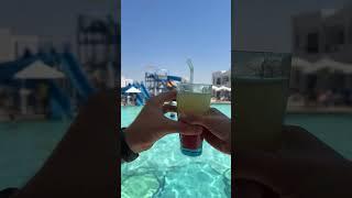 Holiday vibes #vibes #shorts #reels #holiday #viralvideo #tiktok #family #goodvibes